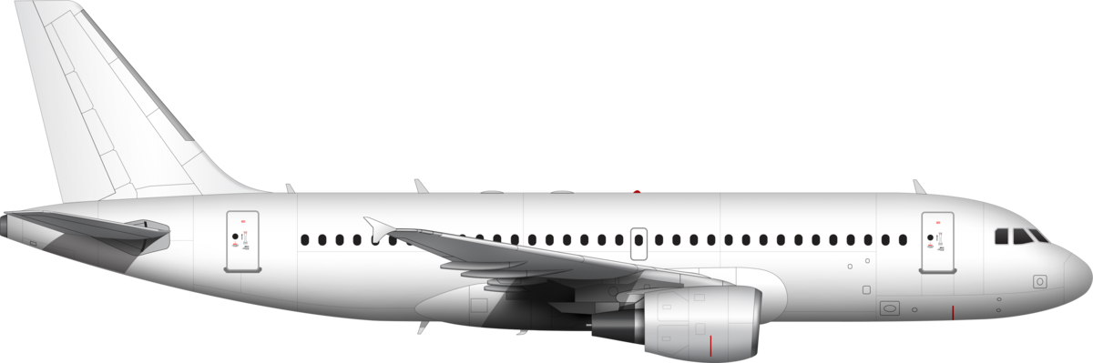A319
