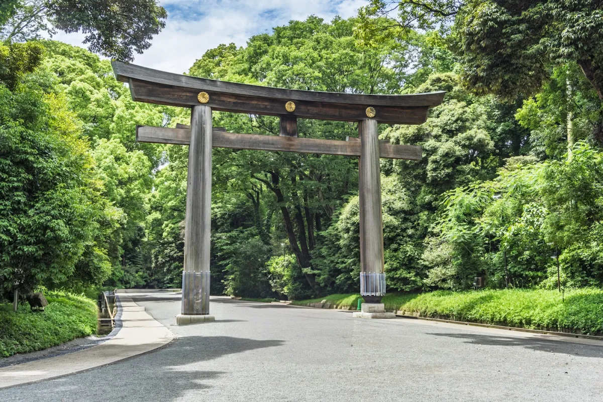 Meiji Shrine &amp; Harajuku