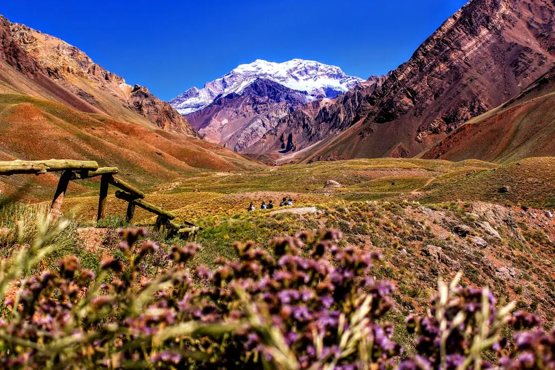 Mendoza