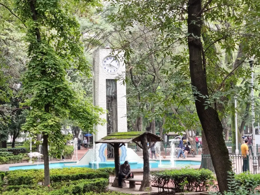 Condesa