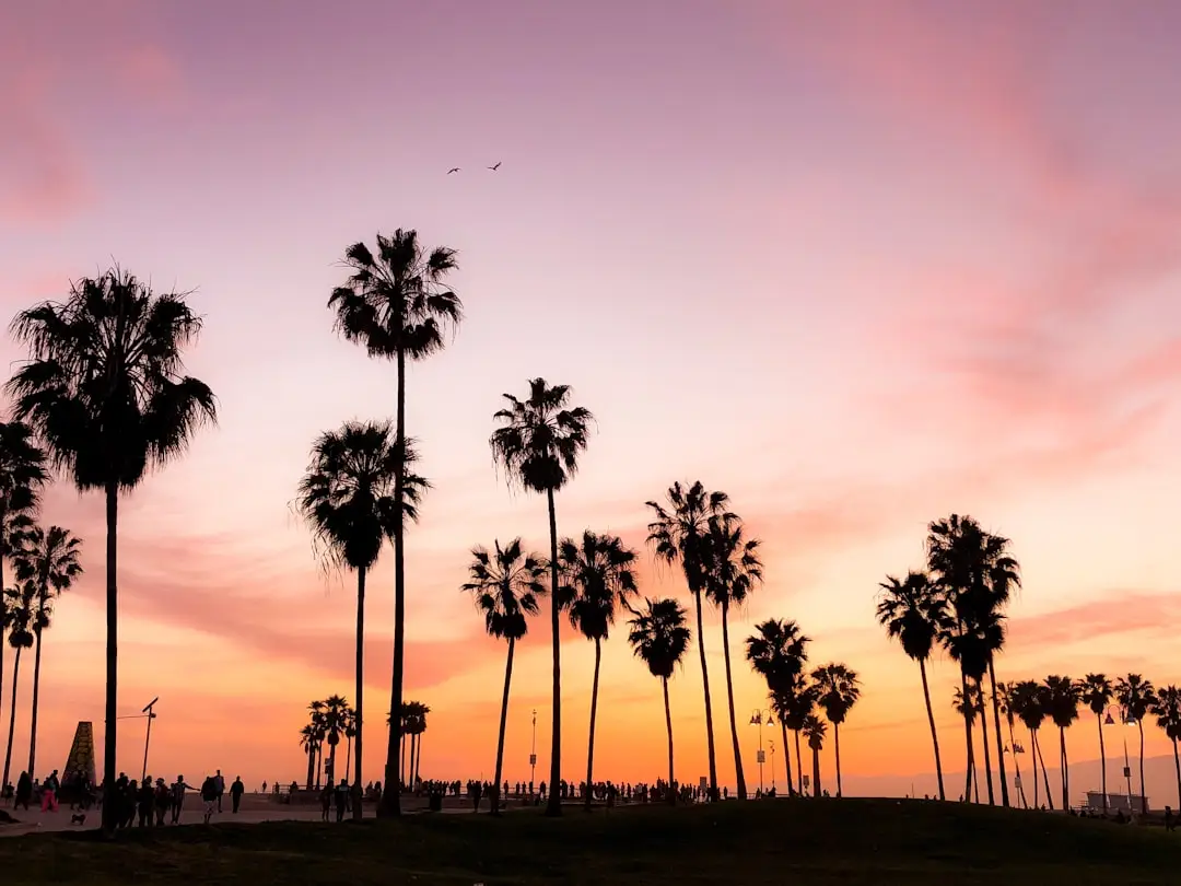 Venice Beach