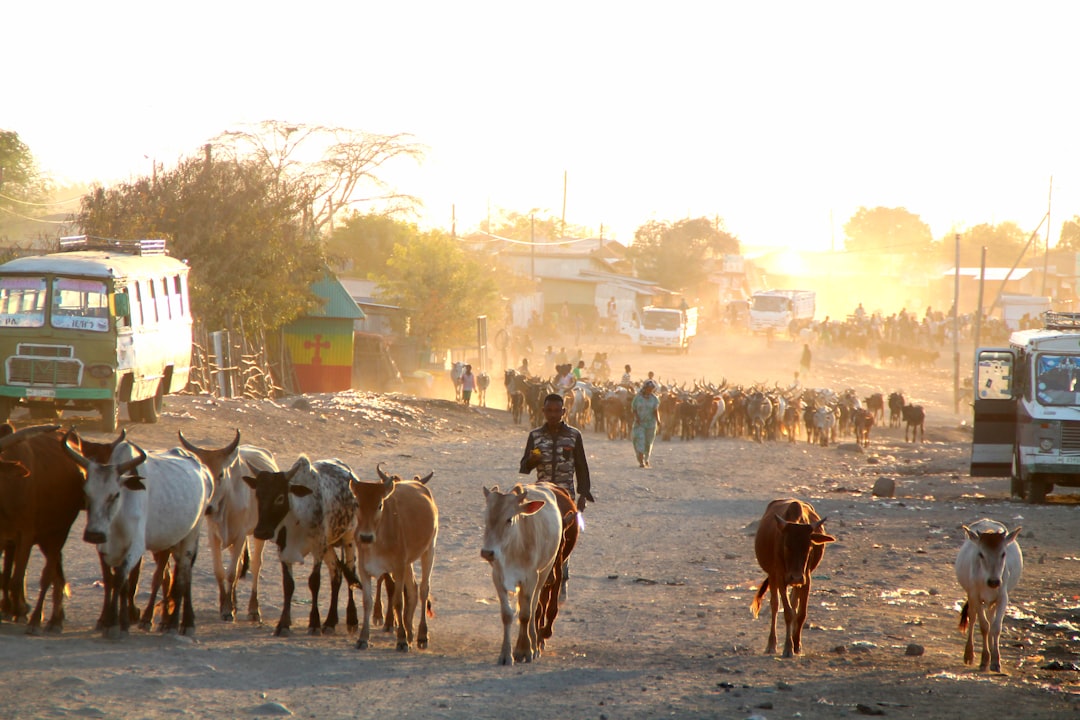 Ethiopia